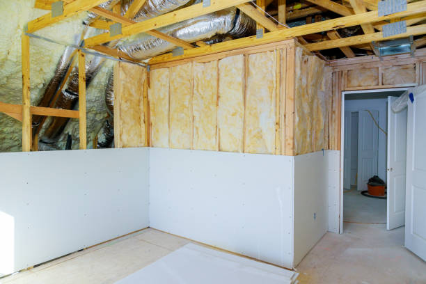 Best Garage Insulation Installation  in Eyota, MN